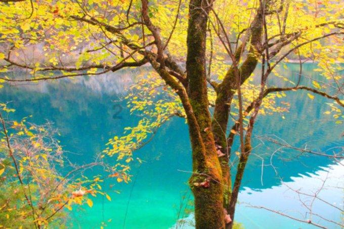 逃离海岛村