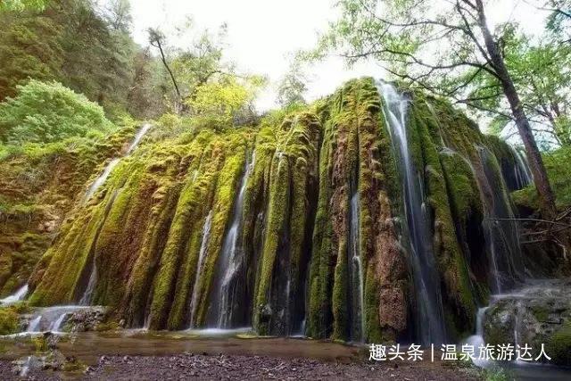 夏日的婚礼