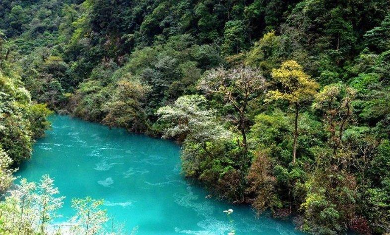 大山羔羊逃生
