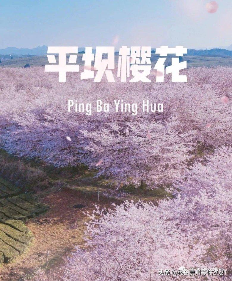 微信发布最新版本优化存储空间管理 网友:有点用,但用处不大