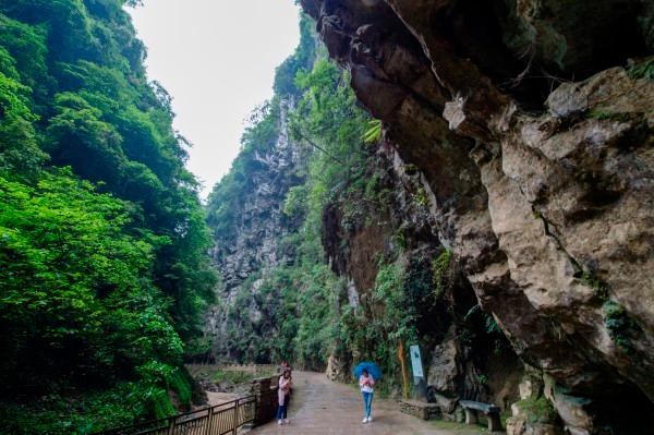 逃离橙园