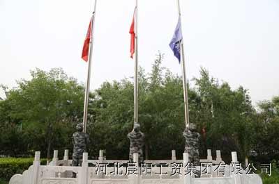 细胞分裂5