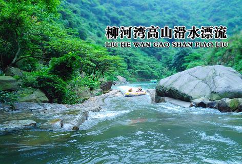 不请自来的客人