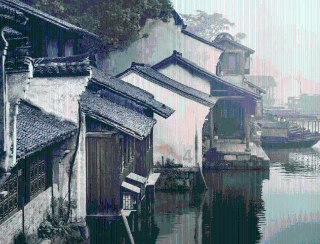 救援小棕兔