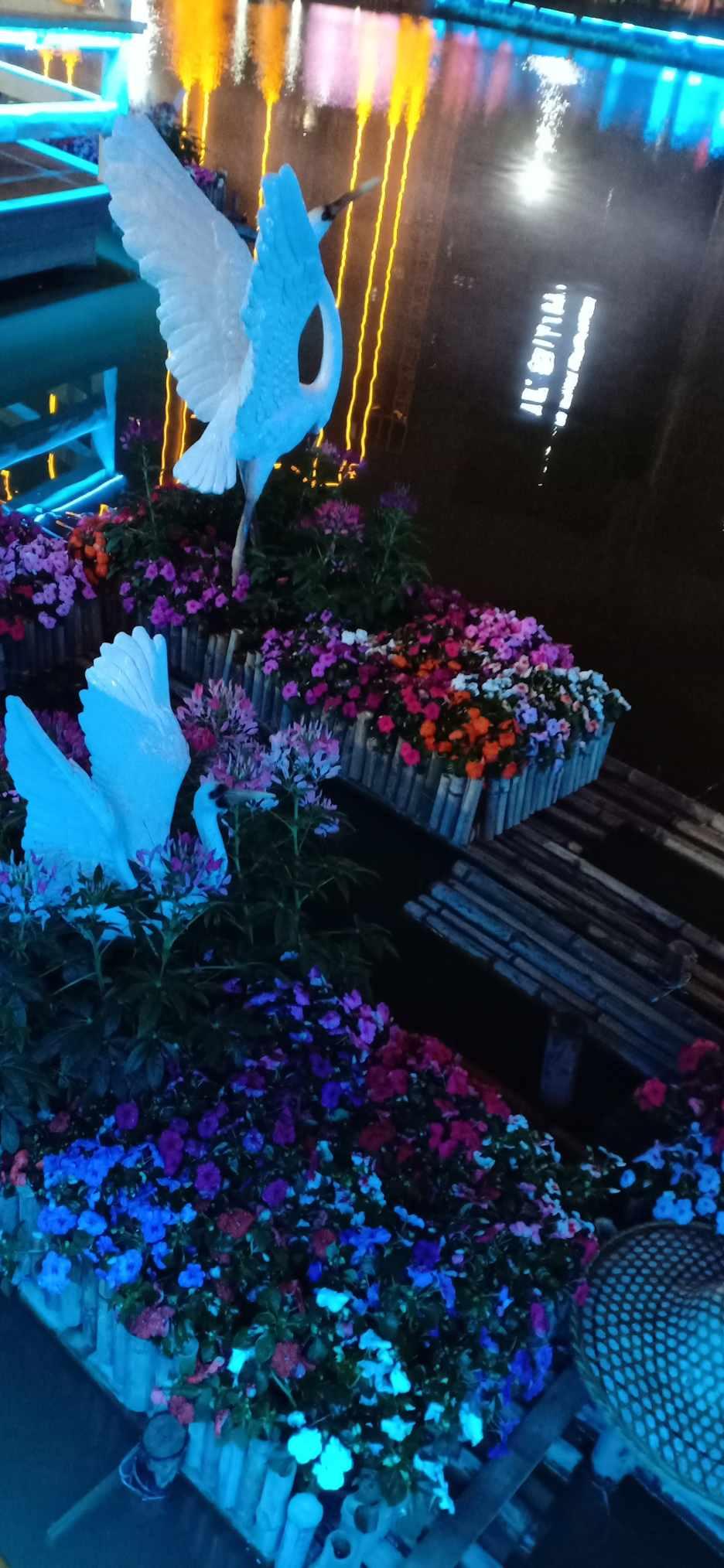 NSS是什么意思？游戏画面