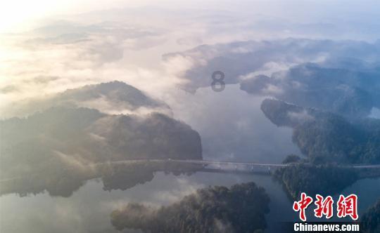 植物大战僵尸3
